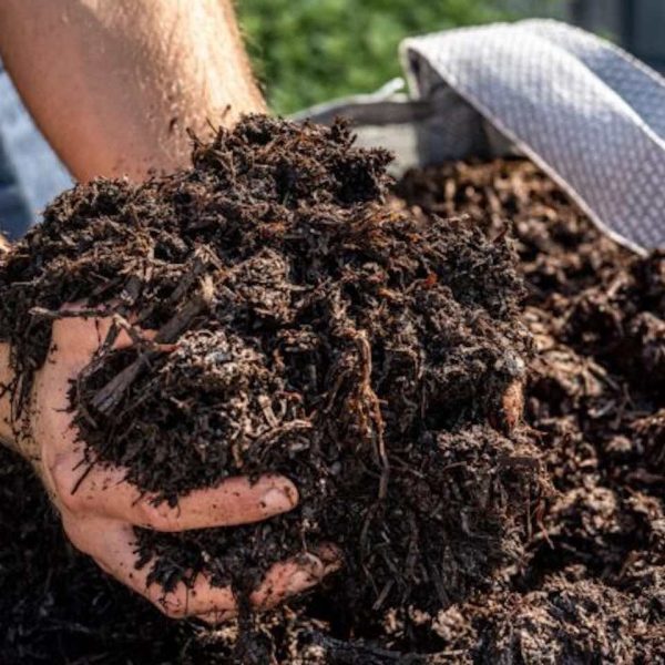 Mushroom_compost_2__22863